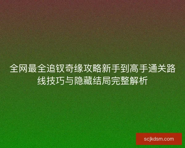 全网最全追钗奇缘攻略新手到高手通关路线技巧与隐藏结局完整解析